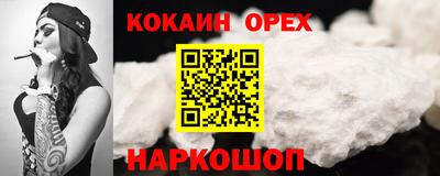 крисы Краснознаменск