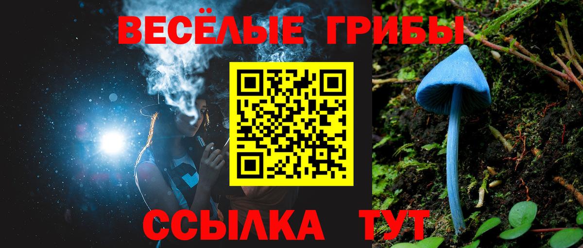 Галлюциногенные грибы прущие грибы Королёв