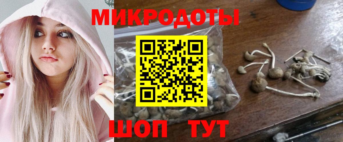 Королёв  Псилоцибиновые грибы Magic Shrooms  Вход с VPN  хочу   Псилоцибиновые грибы Magic Shrooms 